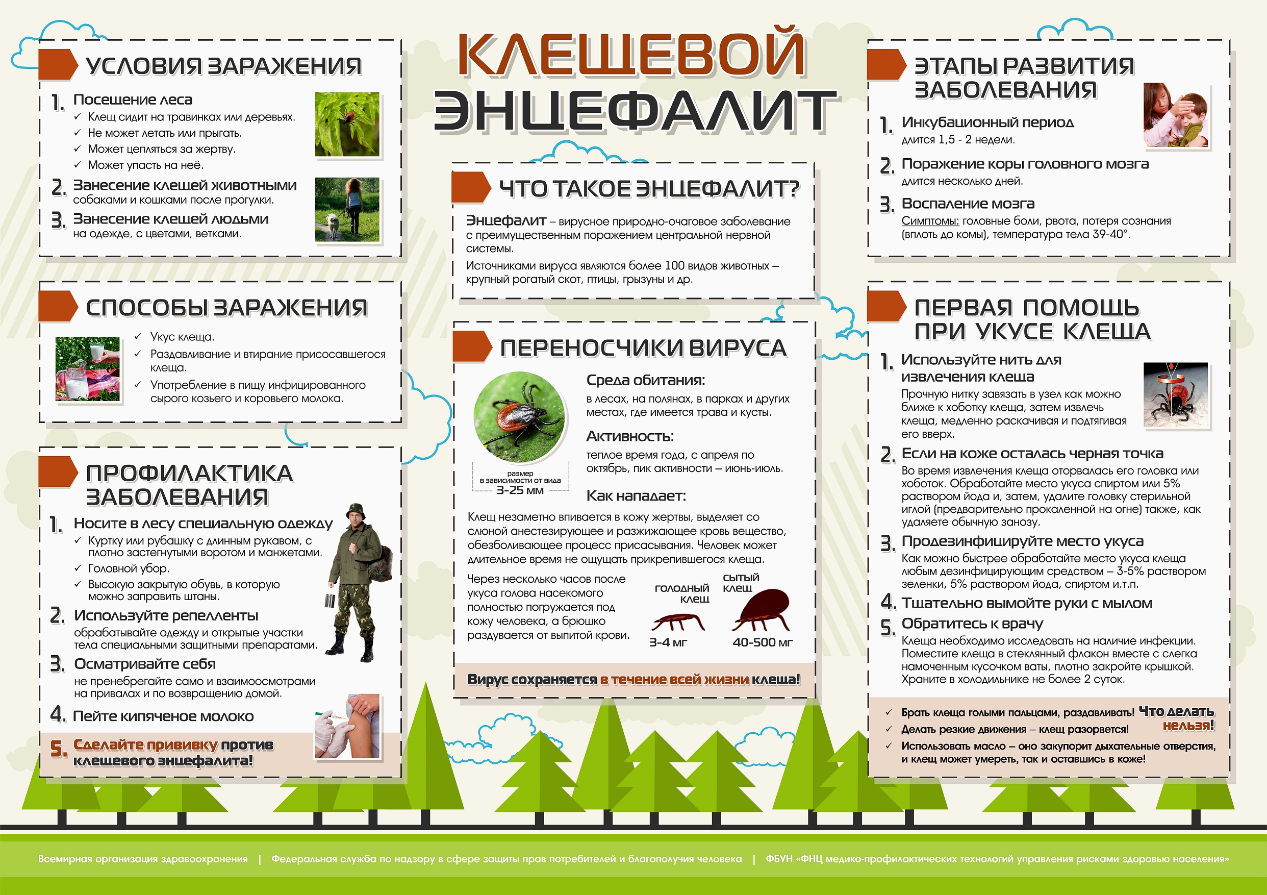 Меры профилактики клещевого вирусного энцефалита - МАОУ «СОШ № 44» г. Перми